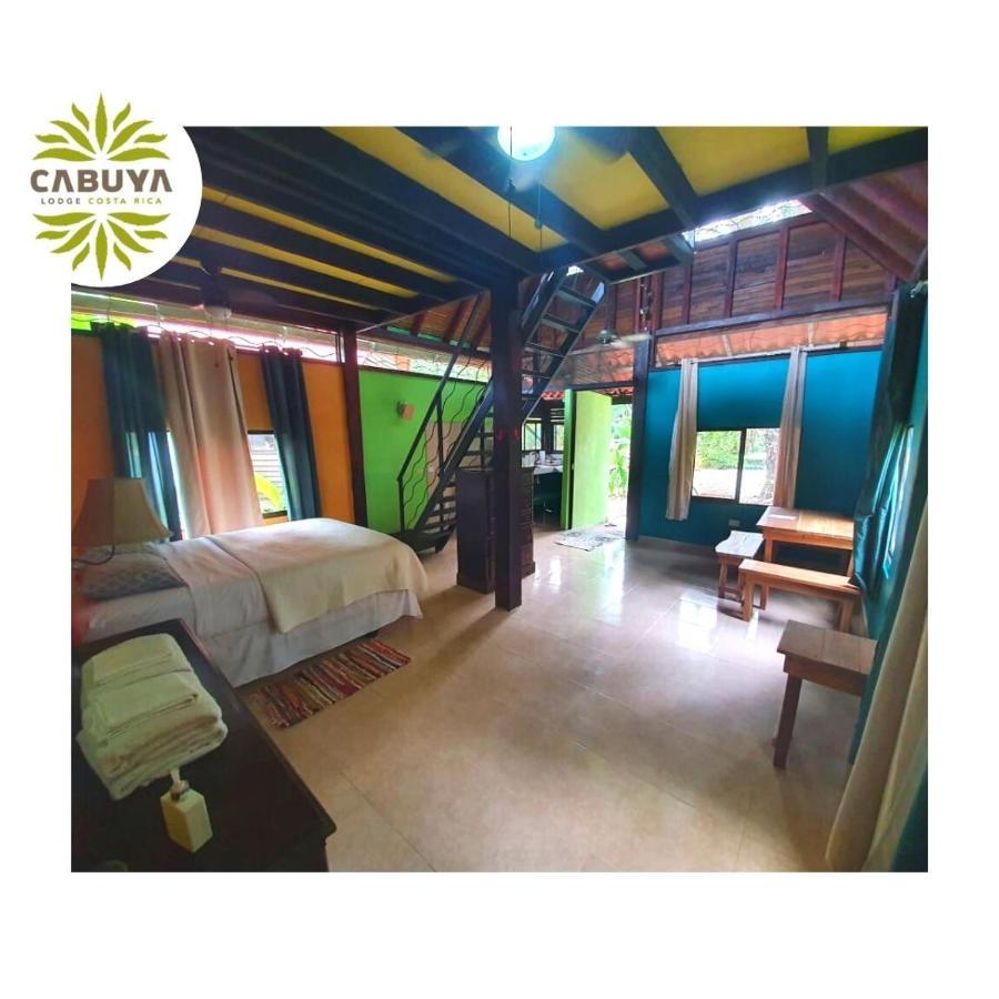 Cabuya Lodge المظهر الخارجي الصورة