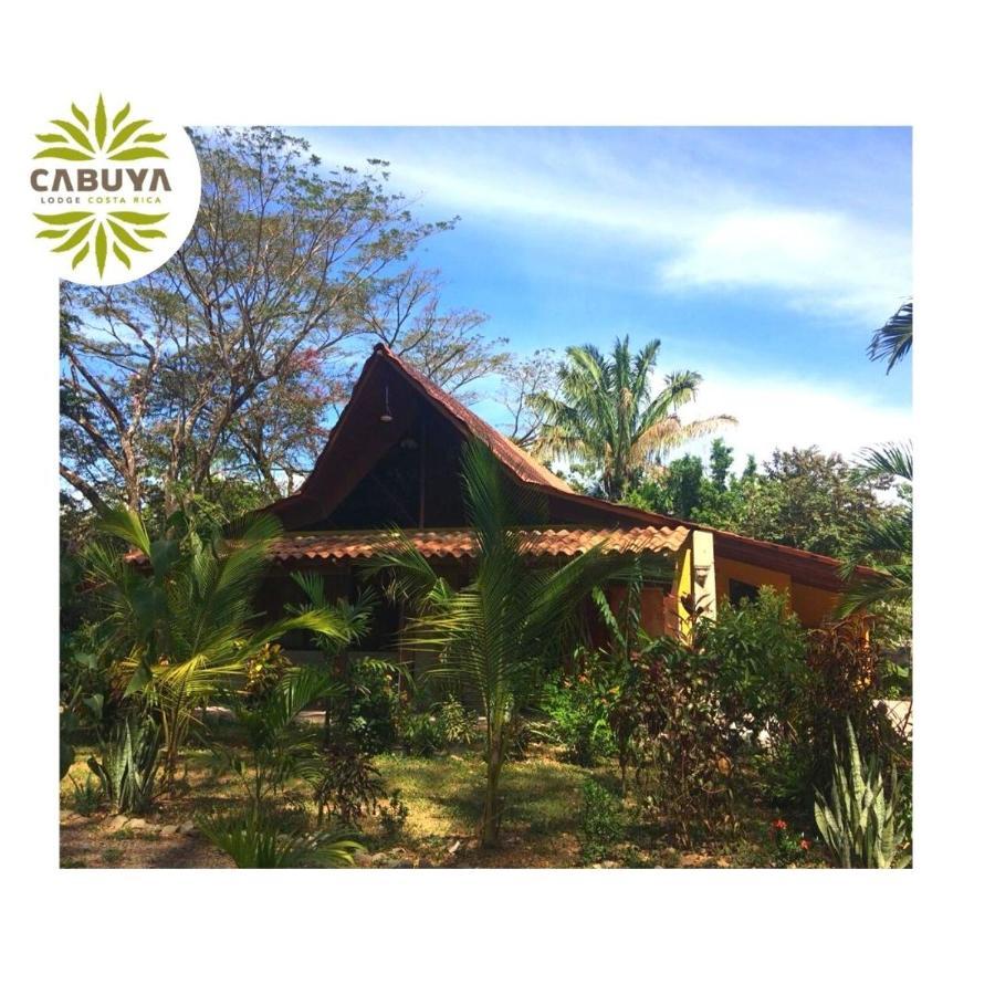 Cabuya Lodge المظهر الخارجي الصورة