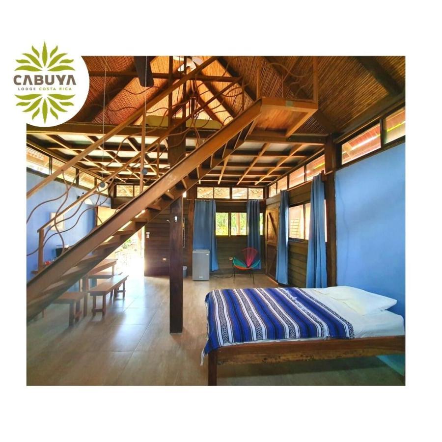 Cabuya Lodge المظهر الخارجي الصورة