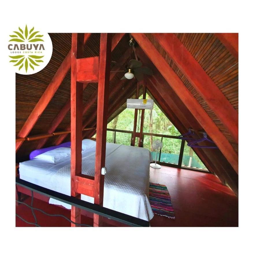 Cabuya Lodge المظهر الخارجي الصورة