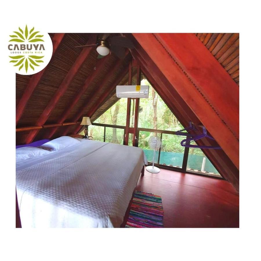 Cabuya Lodge المظهر الخارجي الصورة